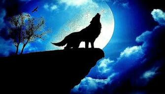 Blue Wolf Best HD Wallpaper Quality