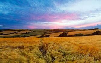 Sunset Field England Desktop Pc And Mac Wallpaper