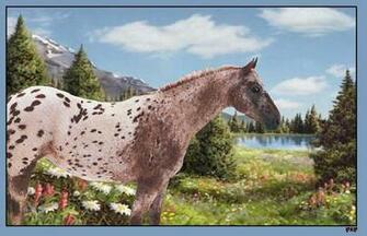 Mountain Meadow Appy Wallpaper By Cowgirlkatiea