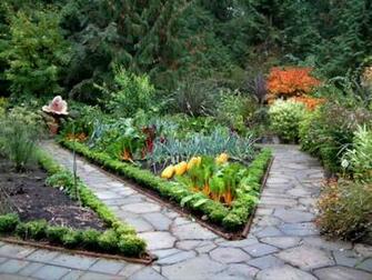 Backyard Vegetable Garden Ideas Advertisement The