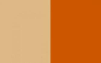 Burnt Orange Background Burlywood And Two Color