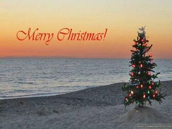 Tropical Christmas Wallpaper