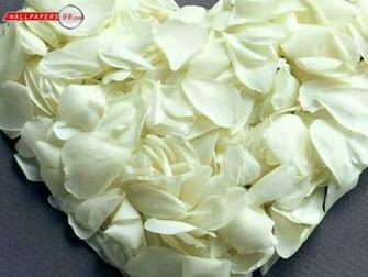 Valentine Day Wallpaper Picture Image