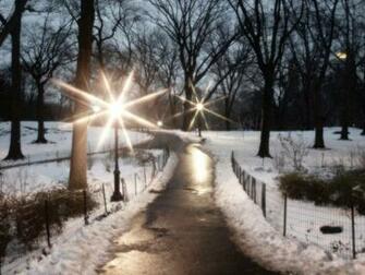Central Park In The Winter Fall Image Crazy