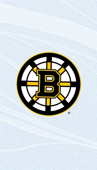 Boston Bruins Phone Wallpaper