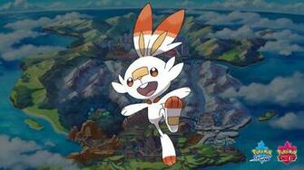 Pokemon Sword And Shield Scorbunny Wallpaper Cat With Monocle