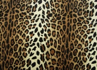 Cheetah Print HD Wallpaper