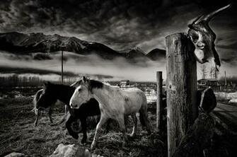 Wild West Wallpaper