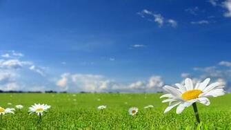 Beautiful Wh Lue Sky Background HD Wallpaper X Jpg