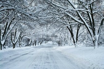 We Usually Get Snow A Few Times Year But Only Couple Of Inches