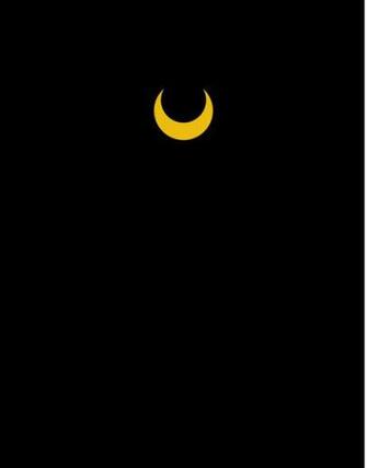 Sailor Moon iPhone Wallpaper Luna Art Print