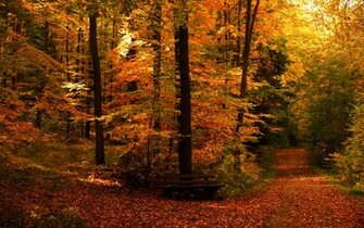 Desktop Wallpaper Fall In HD