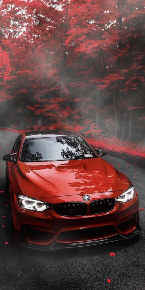 Image Make A Distinctive Design Statement With Bmw M iPhone Wallpaper