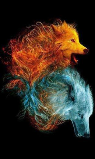 Wolf Hot Mobile Phone Wallpaper