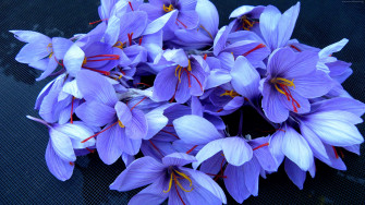 Flowers 4k HD Wallpaper Image Photos And Picture
