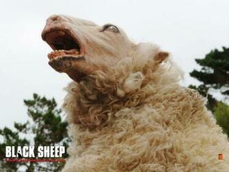 Black Sheep Wallpaper