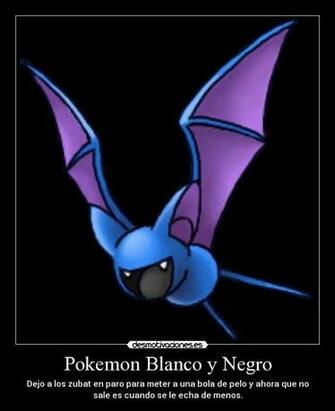 Pokemon Zubat Hot Girls Wallpaper