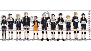 Haikyuu Shouyou Hinata Tobio Kageyama HD Wallpaper