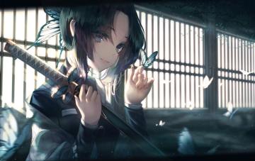 Shinobu Kochou HD Wallpaper And Background