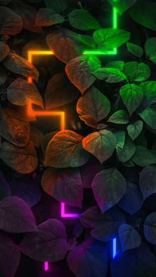 Plants Neon Aesthetic iPhone Wallpaper