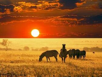 HD Africa Wallpaper For Desktop And Mobile