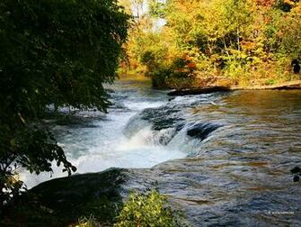 River In Autumn