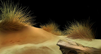 Desert Background Png Clip Art Library