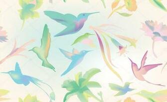 Colibri And Flowers Pattern Stock Illustration Vector