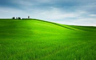 Grassy Hills Wallpaper Desktop