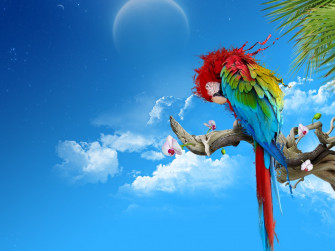 Parrot Parrots Wallpaper