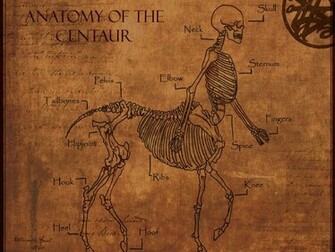 Fantasy Centaur Wallpaper