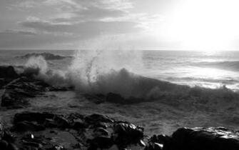 Best Wallpaper Collection Black And White
