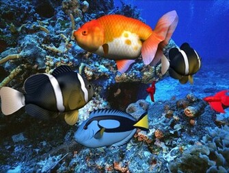 User Res Of 3d Aqua Screensaver