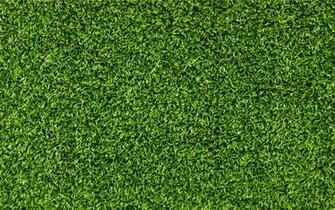 Green Grass Texture High Quality Wallpaper