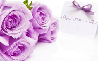 Happy Mothers Day Card Bow Violet Purple Roses Flowers Holiday HD