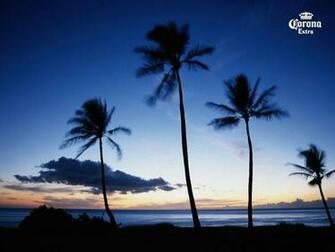 Corona Wallpaper Deskto