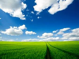 Summer Wallpaper Desktop HD Jpg