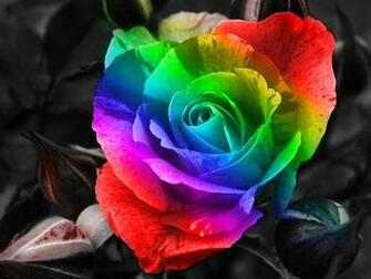 Awesome Colorful Wallpaper Alees