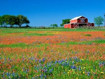 Barn And Texas Paintbrush Tweet Previous Wallpaper Next
