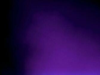 Deep Purple Saturated Not Eggplant Wedding C And J