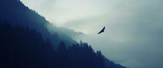 Birds Mountains Wallpaper HD Desktop And Mobile Background