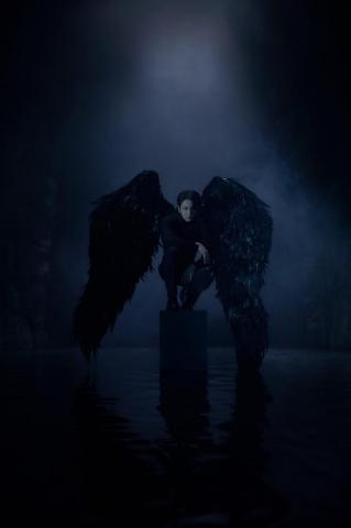 Bts Transforms Into Black Swans For Map Of The Soul Concept