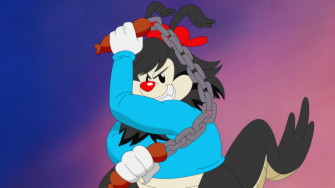Wakko Warner HD Wallpaper And Background
