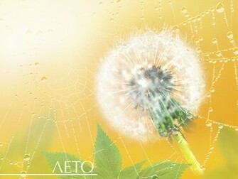 Desktop Wallpaper Gallery 3d Art Summer