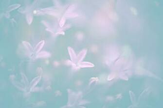 Pastel Flowers Ogq Background HD