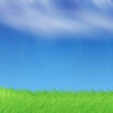 Cartoon Grass Wallpaper