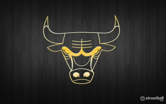 Chicago Bulls Jan Picture Gallery