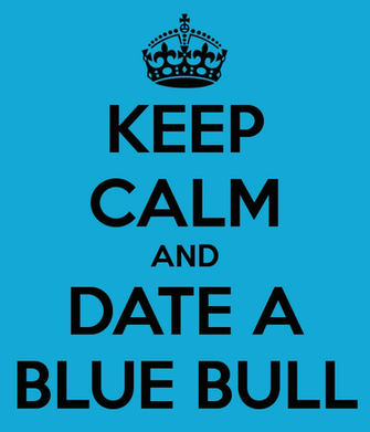 Blue Bulls Wallpaper Date A Bull