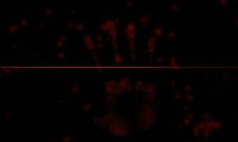 Nokia N900 Wallpaper Daily Mobile