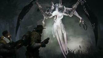 Evolve